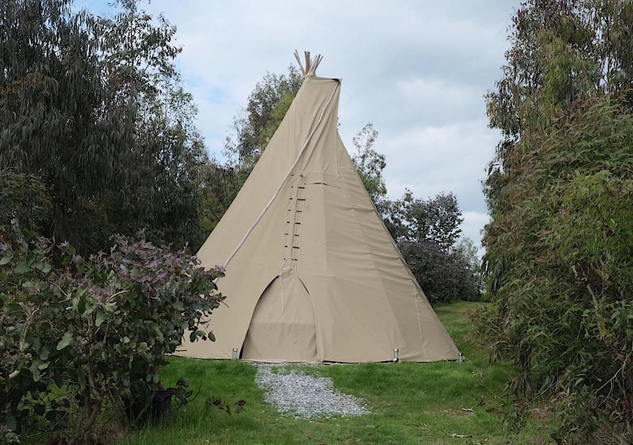 Gumtree Tipis Hotel Bickington Exterior photo