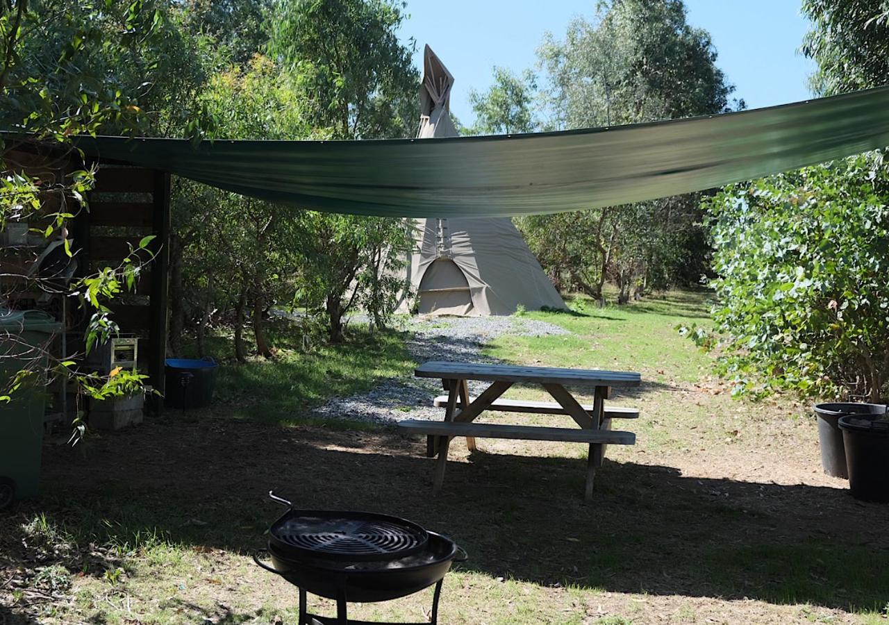 Gumtree Tipis Hotel Bickington Exterior photo